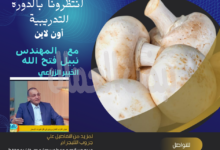 الخبير الزراعي نبيل فتح الله “هيجوبك” على 100 سؤال عن مشروع عيش الغراب وأنت مكانك